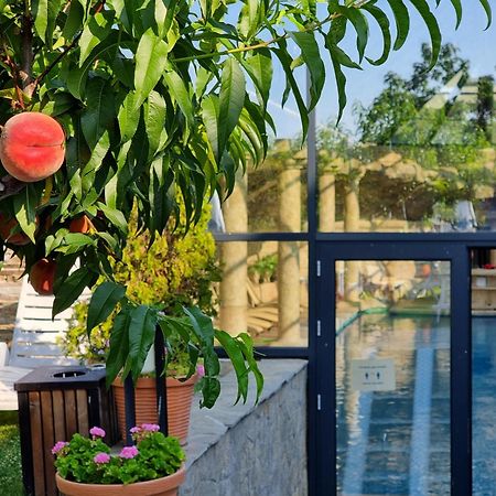 Wine & Spa Complex Starosel Ngoại thất bức ảnh